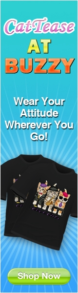 cat shirts